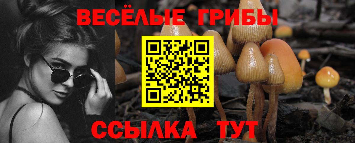 Галлюциногенные грибы мухоморы  Галлюциногенные грибы прущие грибы  Моршанск  Вход с VPN 